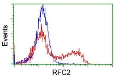 Flow Cytometry: RFC2 Antibody (OTI2B2) - Azide and BSA Free [NBP2-73857]