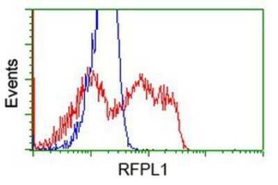 Flow Cytometry: RFPL1 Antibody (OTI1D3) - Azide and BSA Free [NBP2-73861]