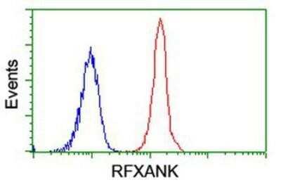 Flow Cytometry: RFXANK Antibody (OTI3E7) [NBP2-01756]
