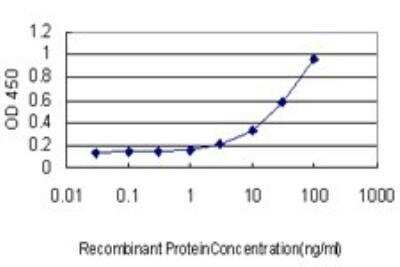 ELISA: RGL2 Antibody (4D10) [H00005863-M02]