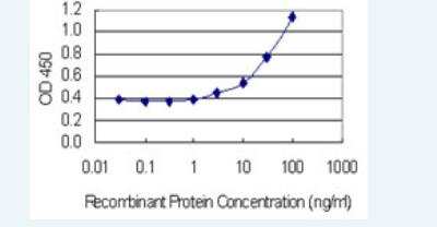 ELISA: RGM-A Antibody (6D7) [H00056963-M01-100ug]