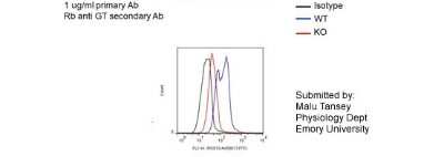 Flow Cytometry: RGS10 Antibody [NBP1-55396]