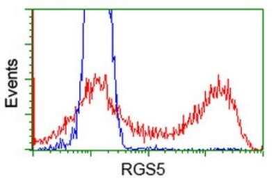 Flow Cytometry: RGS5 Antibody (OTI1C1) - Azide and BSA Free [NBP2-73887]