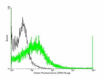 Flow Cytometry: RGS7 Antibody [H00006000-B01P]
