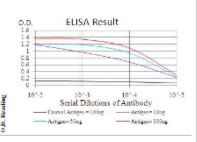 ELISA: RHAMM/CD168 Antibody (2F2C9) - BSA Free [NBP2-52437]