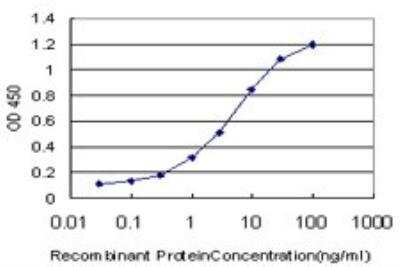 ELISA: RIPK2 Antibody (2C7) [H00008767-M01]