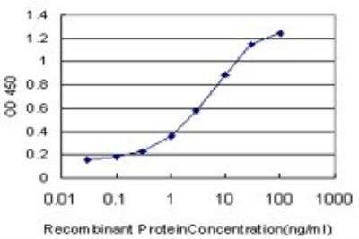 ELISA: RIPK2 Antibody (3D9) [H00008767-M03]