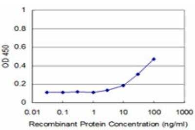 ELISA: RIPK4 Antibody (2D1) [H00054101-M05]