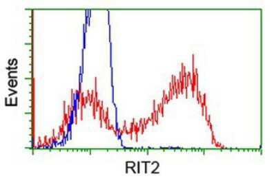 Flow Cytometry: Rit2 Antibody (OTI3F4) [NBP2-03062]