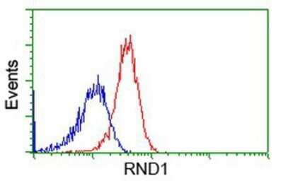 Flow Cytometry: RND1 Antibody (OTI1C3) - Azide and BSA Free [NBP2-73919]