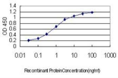 ELISA: RNF12 Antibody (1G10) [H00051132-M01]