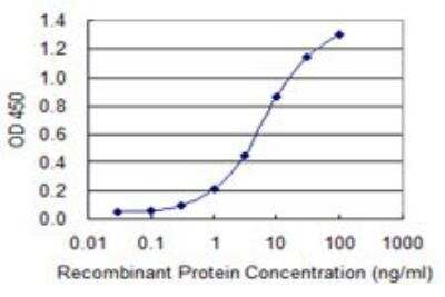 ELISA: RNF123 Antibody (3F8) [H00063891-M01]