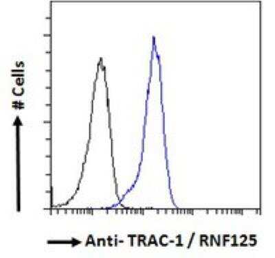 Flow Cytometry: RNF125 Antibody [NBP2-78703]