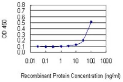 ELISA: RNF180 Antibody (1C4) [H00285671-M05]