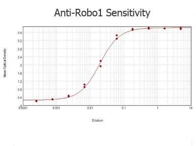 ELISA: ROBO1 Antibody [NB600-1254]