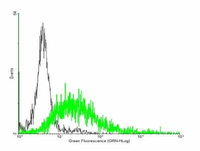 Flow Cytometry: ROM1 Antibody [H00006094-B01P]