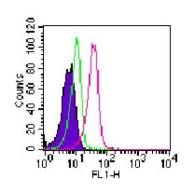 Flow Cytometry: ROR gamma/RORC/NR1F3 Antibody (4G419) - Azide and BSA Free [NBP2-80930]