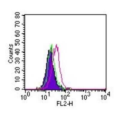 Flow Cytometry: ROR gamma/RORC/NR1F3 Antibody (4G419) - BSA Free [NBP2-24449]