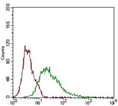 Flow Cytometry: ROR2 Antibody (6F2D10) - BSA Free [NBP2-37263]