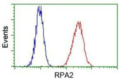 Flow Cytometry: RPA2 Antibody (OTI9A1) - Azide and BSA Free [NBP2-73935]