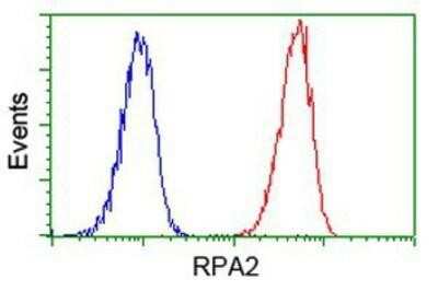 Flow Cytometry: RPA2 Antibody (OTI9A1) [NBP2-02182]
