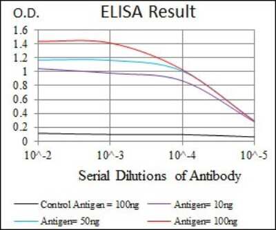 ELISA: RPA70 Antibody (4C4) - BSA Free [NBP2-37500]