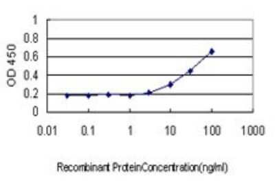 ELISA: RPL13 Antibody (3F6) [H00006137-M01]