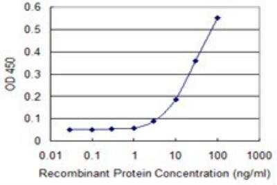ELISA: RPLP0 Antibody (1B4) [H00006175-M01]