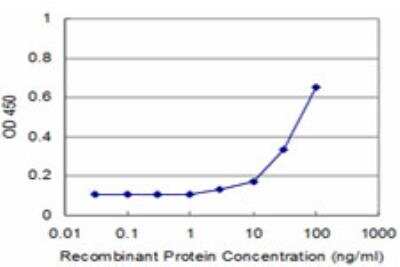 ELISA: RPS20 Antibody (1G12) [H00006224-M03]