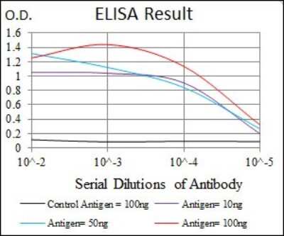 ELISA: RUNX3/CBFA3 Antibody (2B3) - BSA Free [NBP2-37455]