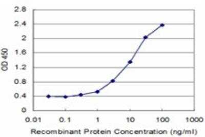ELISA: RUVBL1 Antibody (3G4-1F8) [H00008607-M01]