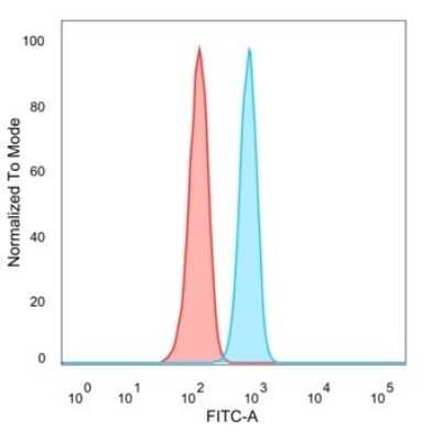 Flow Cytometry: RXR beta/NR2B2 Antibody (PCRP-RXRB-2B6) - Azide and BSA Free [NBP3-08445]