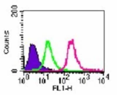 Flow Cytometry: Rabbit IgG Isotype Control [NBP2-24891]