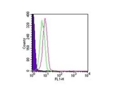 Flow Cytometry: Rabbit IgG Isotype Control [NBP2-24891]