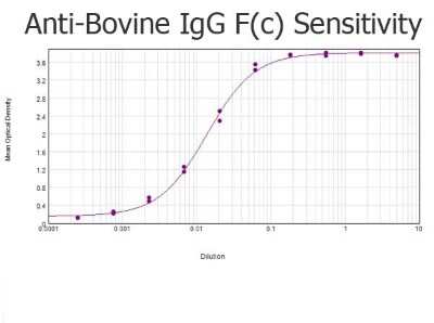 ELISA: Rabbit anti-Bovine IgG Fc Secondary Antibody [NBP1-72769]