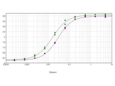 ELISA: Rabbit anti-Goat IgG Fc Secondary Antibody [NBP2-60668]