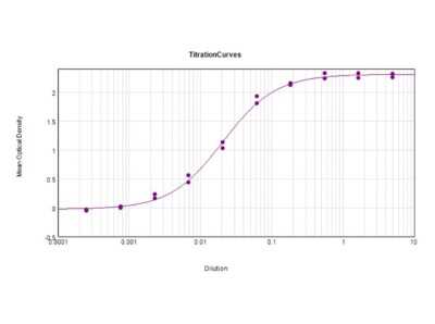 ELISA: Rabbit anti-Golden Syrian Hamster IgG (H+L) Secondary Antibody [NBP1-72726]