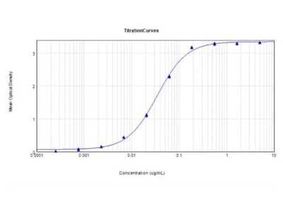 ELISA: Rabbit anti-Mouse IgG F(ab')2 Secondary Antibody [NBP1-72760]