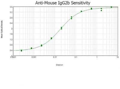 ELISA: Rabbit anti-Mouse IgG2b Heavy Chain Secondary Antibody [NBP1-72795]