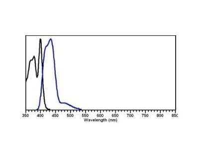 Fluorophore-linked immunosorbent assay: Rabbit anti-Sheep IgG (H+L) Secondary Antibody [NBP1-72704]
