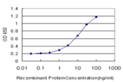 Sandwich ELISA Capture: Rad1 Antibody (1G2) [H00005810-M01J]