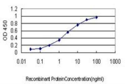 ELISA: Rad51C Antibody (3F3-5C6) [H00005889-M01]