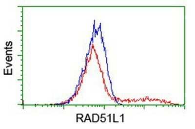 Flow Cytometry: Rad51L1 Antibody (OTI7H4) - Azide and BSA Free [NBP2-73782]