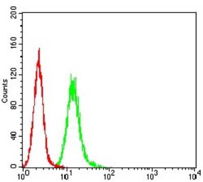 ELISA: RalB Antibody (8A8A9) - BSA Free [NBP2-61826]
