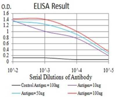 ELISA: Ran Antibody (8D1H12) - BSA Free [NBP2-61840]