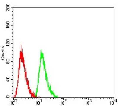 ELISA: Ran Antibody (8D1H12) - BSA Free [NBP2-61840]