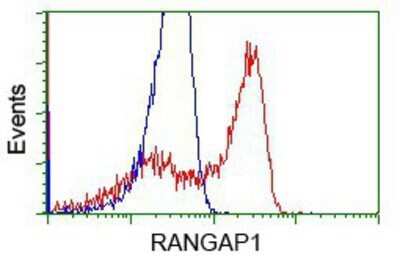 Flow Cytometry: RanGAP1 Antibody (OTI1B4) - Azide and BSA Free [NBP2-73797]