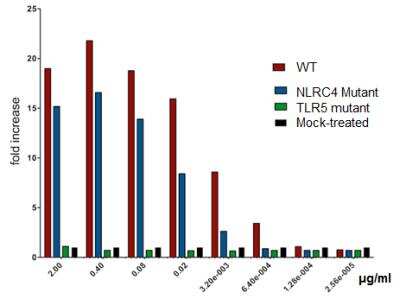 Functional: Recombinant Bacteria Flagellin NLRC4 Mutant His Protein [NBP3-18158]