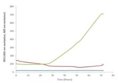 In vitro assay: Recombinant Human SOD1/Cu-Zn SOD Active, Monomer Protein [NBP3-14782]