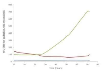 In vitro assay: Recombinant Human SOD1/Cu-Zn SOD Pre-formed Fibrils Protein [NBP3-14783]